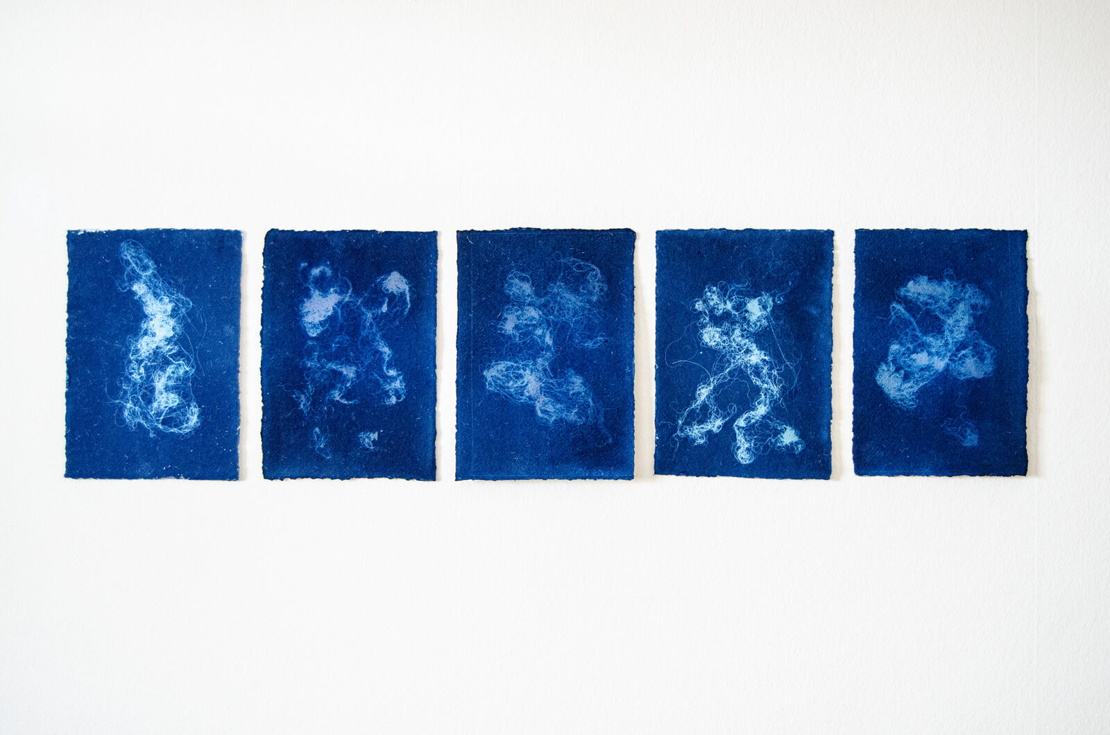 Cyanotypie Fäden auf Blütenpapier